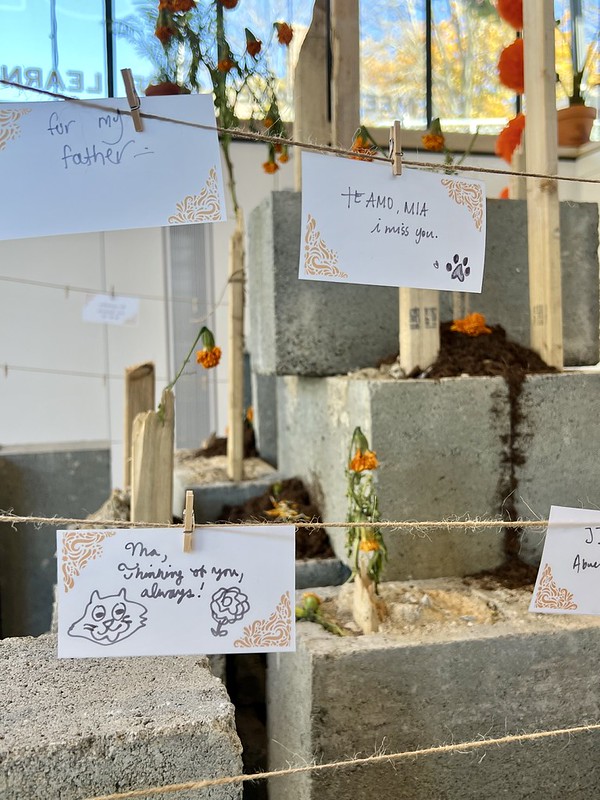 Letters left my visitors for loved ones who have passed away hang with clothespins on string as part of the communal Dia de los Muertos altar featured in Images of Mexico's Festival Mictlán exhibition. On the left, one reads, "For my father—". On the right, another reads, "Te amo, Mia. I miss you" with a dog print drawn on the bottom right corner. On the bottom, "Ma, thinking of you, always" with a doodle of a cat and a flower.