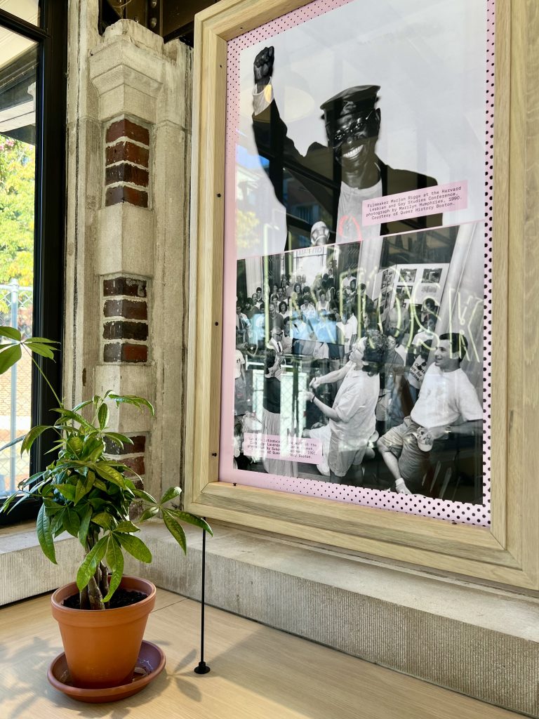 Images related to local queer history hang in a floating frame next to a money tree plant.
