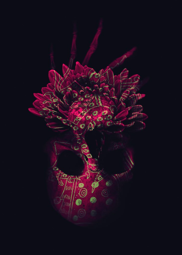A pink/red patterned skull/flower shape hovers over a black background
